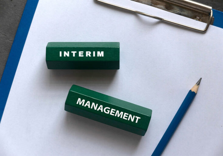 interim_management-768x513